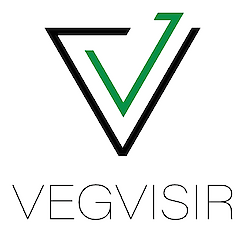 Vegvisir