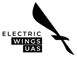 Electric Wings Group OÜ